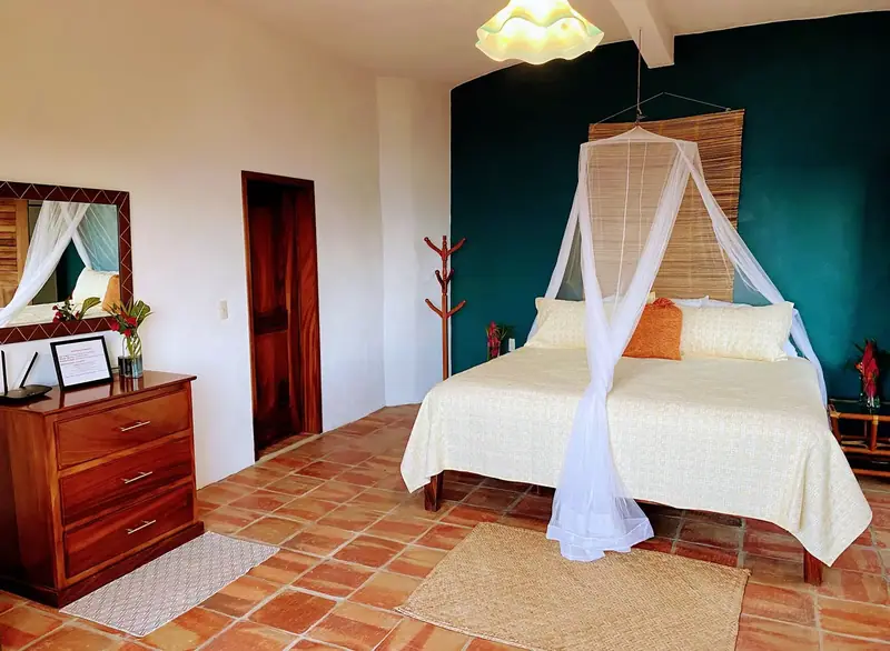 King bedroom with canopy net